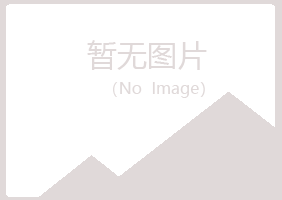 良庆区山柏会计有限公司